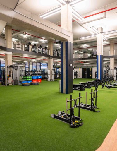 A gym with a green carpet and equipment.