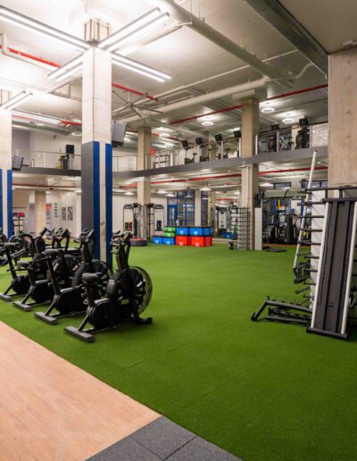 A gym with a green carpet and equipment.