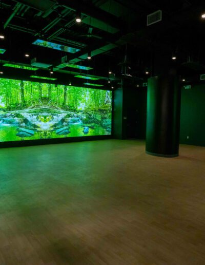 A room with a large screen showing a forest.