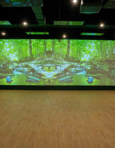 A room with a large projection of a forest.