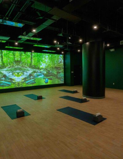 A room with a large screen showing a forest.